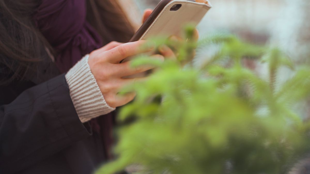 Aplikacja Seek to idealny kompan fotografa przyrody 1