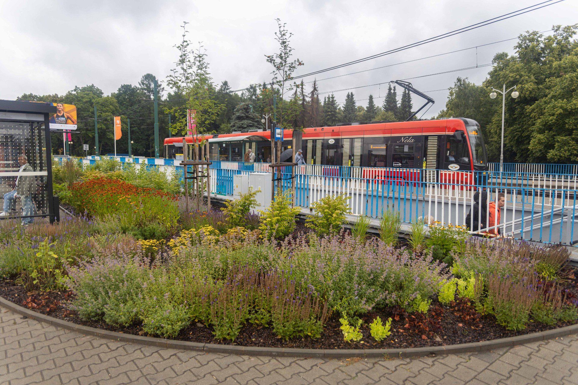 Tak po przebudowie wygląda przystanek autobusowy &#34;Śląski Ogród Zoologiczny&#34; przy ul. Chorzowskiej w Katowicach