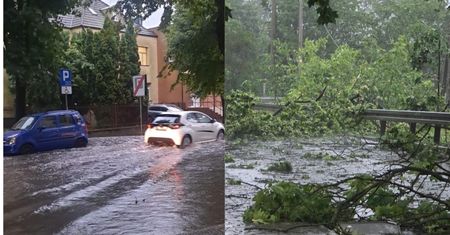 Armagedon po burzach. Drzewo przygniotło nastolatka, pokazy odwołane