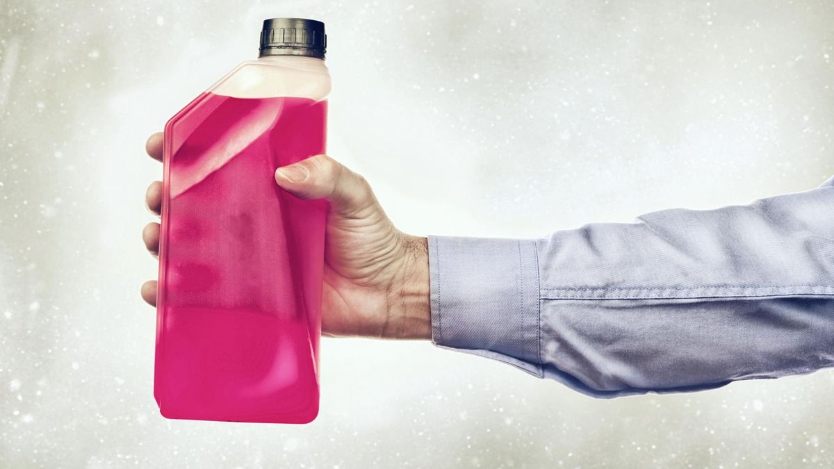 Jakie nietypowe składniki znajdują się w pożywieniu? 