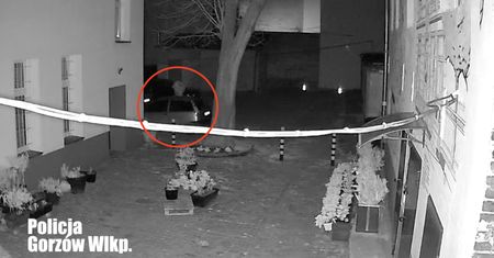 Policja złapała podpalacza. Powiedział, czemu to zrobił