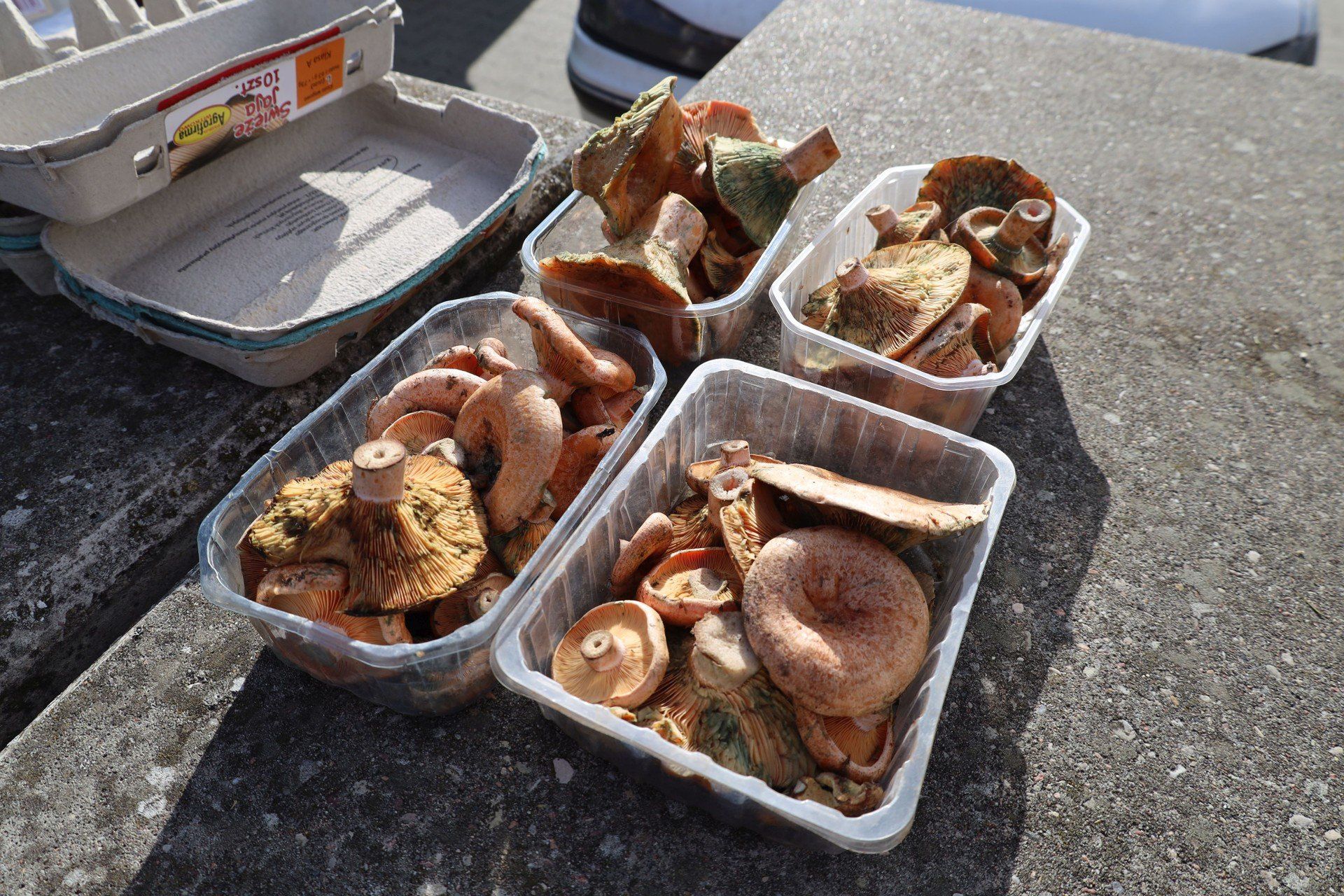 Targowisko miejskie w Szczecinku