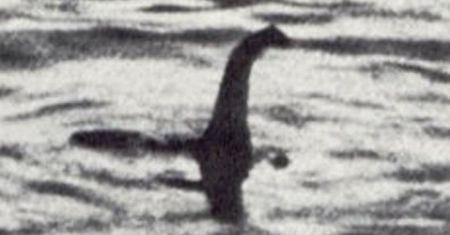 Szukali potwora z Loch Ness. Twierdzą, że coś nagrali