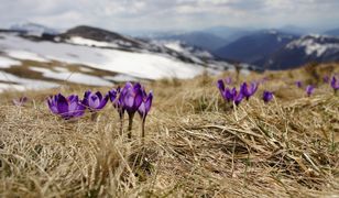 Куди поїхати у Польщі на весні? Найцікавіші місця