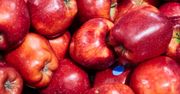 Szelak – prześwietlamy popularny składnik produktów spożywczych