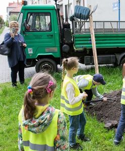 Katowice. Łatwy sposób na zielone otoczenie