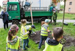 Katowice. Łatwy sposób na zielone otoczenie