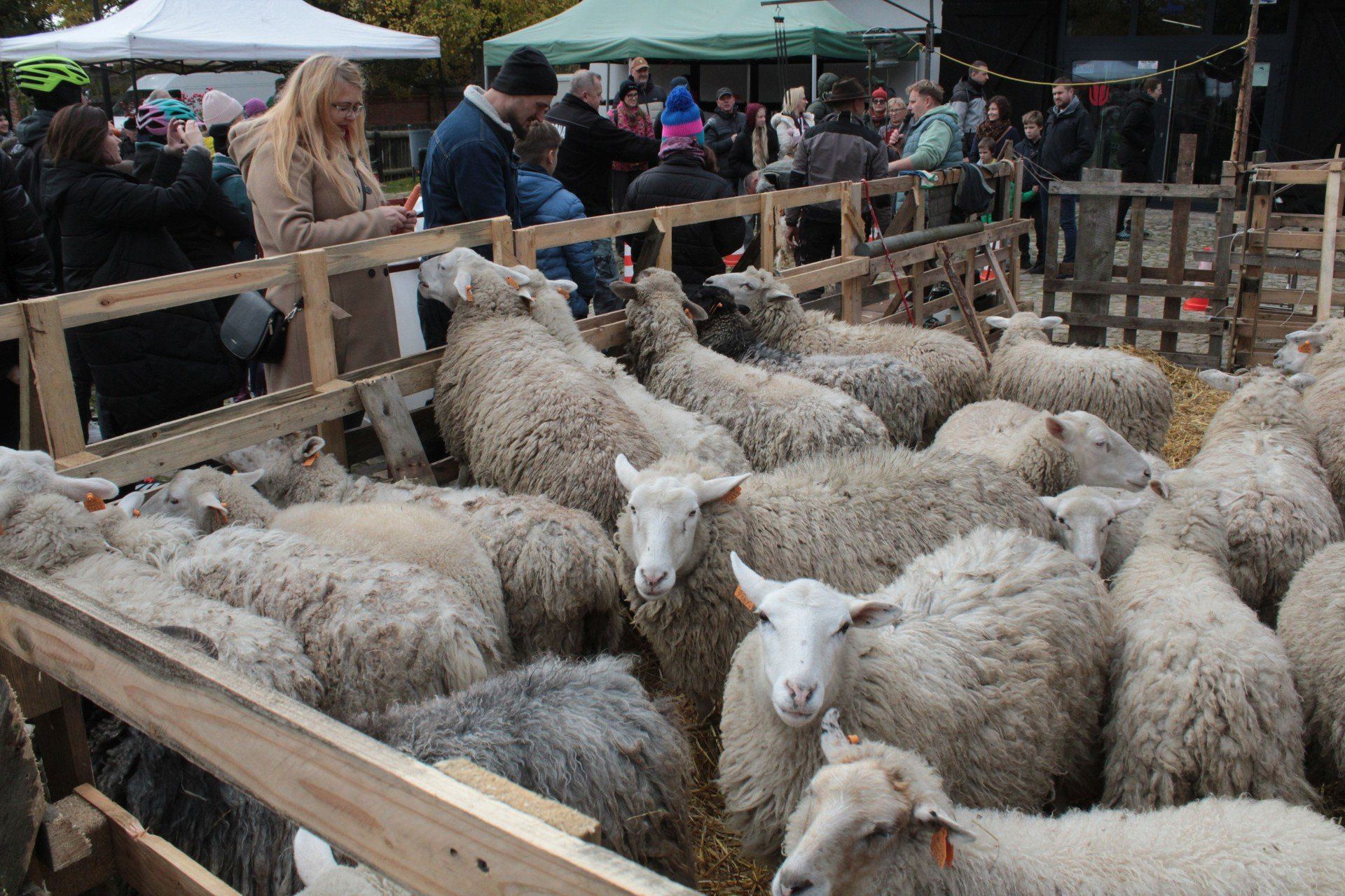 III Jamneńskie Zakończenie Sezonu Pasterskiego