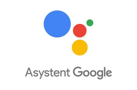 Logo polskiego Asystenta Google
