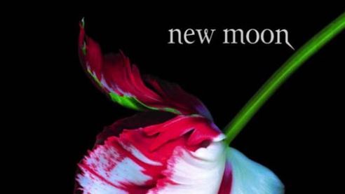 Sequel Zmierzchu oficjalnie ogłoszony 1