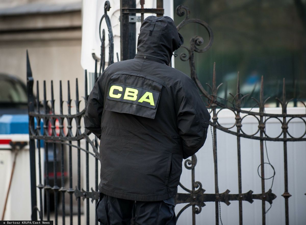 Agenci CBA (zdjęcie poglądowe)