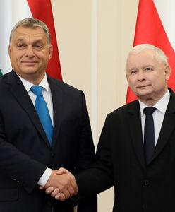 Kaczyński idzie drogą Orbána. PiS wierzy, że referendum wyciągnie ich z defensywy