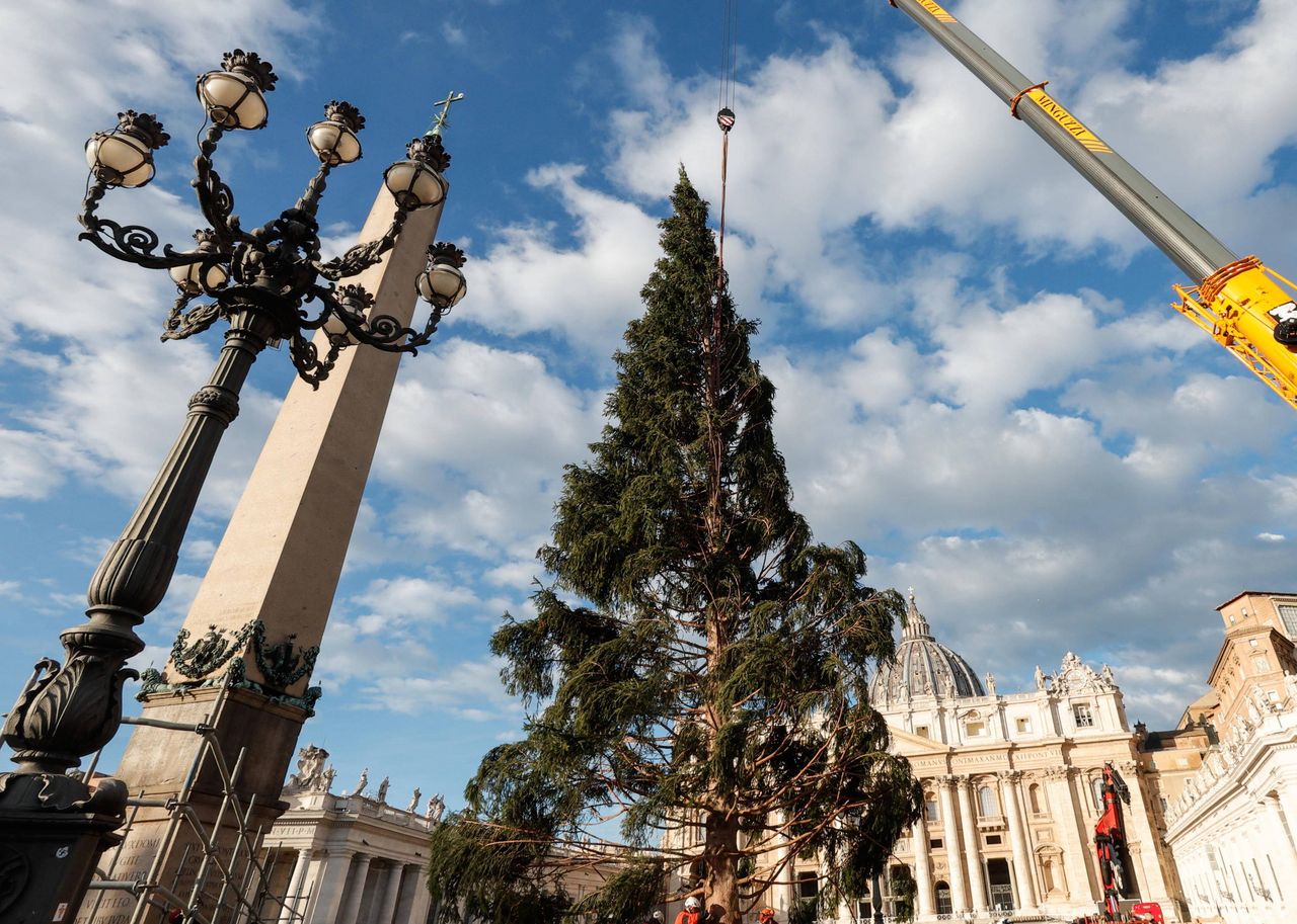 Vatican's "Green Giant" sparks debate amid ecology protests