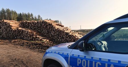 Tragedia w lesie. Zginął mężczyzna przygnieciony przez drzewo