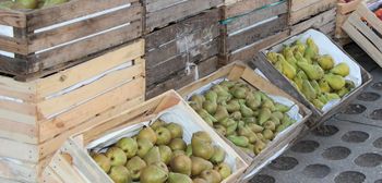 Przedświąteczne ceny gruszek na rynkach hurtowych (11.12.2025)