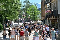 Plaga w Tatrach. "Zobaczyłam podwórko i dom"