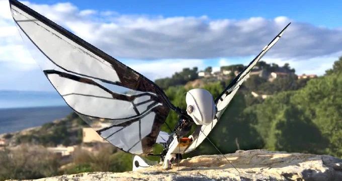 Bioniczny dron MetaFly. Niesamowita maszyna, która lata jak nietoperz 2