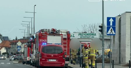 Wypadek w metrze. Na miejscu pracują służby