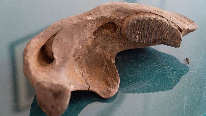 Warszawa. Na budowie metra wykonawca natrafił na fragmenty kości prehistorycznego zwierzęcia