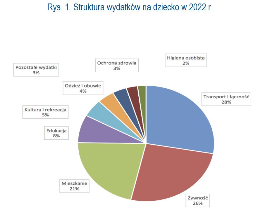 Struktura wydatków na dziecko w 2022 roku