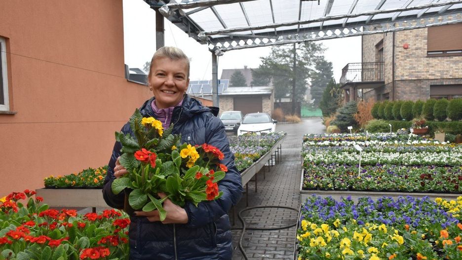 Jakie kwiaty sadzić wczesną wiosną?