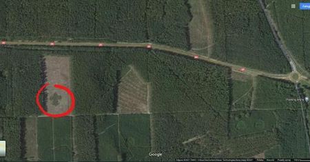 Dziwny znak na mapach Google. W środku polskiego lasu