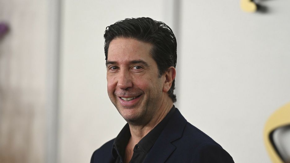 David Schwimmer ma 59 lat
