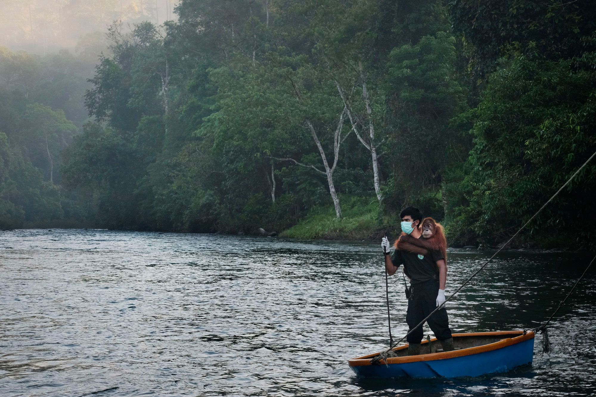 World Press Photo 2020: Yasuyoshi Chiba Fotografem Roku 2020 95