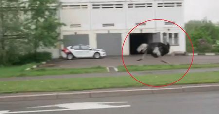 Byli pewni, że to fotomontaż. Prawdziwe nagranie z ulic Moskwy