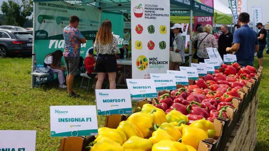 Przystanek Papryka 2025.