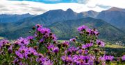 Tatry: To będzie letni weekend, choć na szczytach widać świeży śnieg