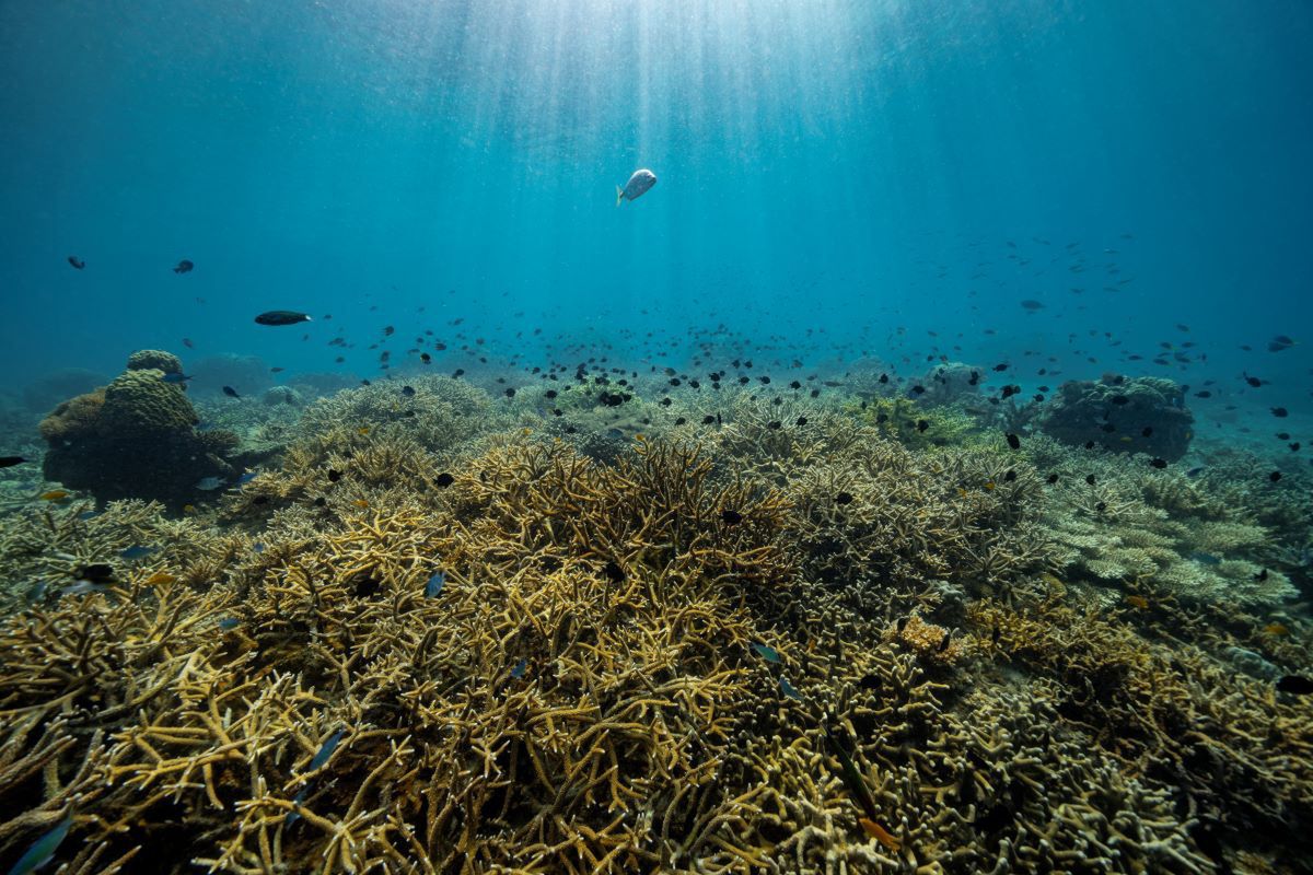 Oceany zmieniają się. Naukowcy alarmują