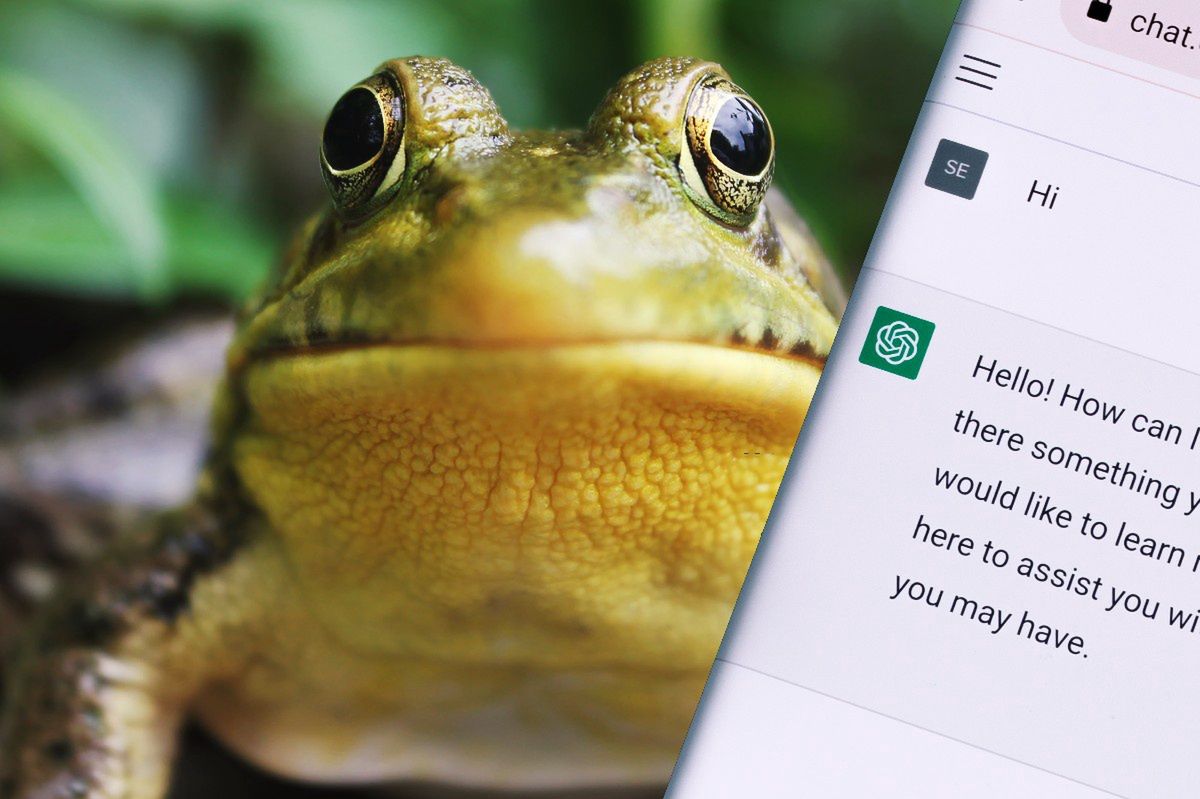 Sieć Żabka testuje ChatGPT. Do czego może go użyć?
