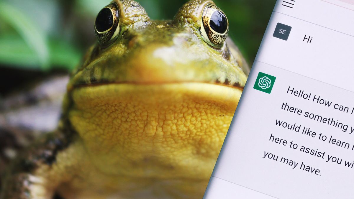 Sklepy Żabka testują ChatGTP