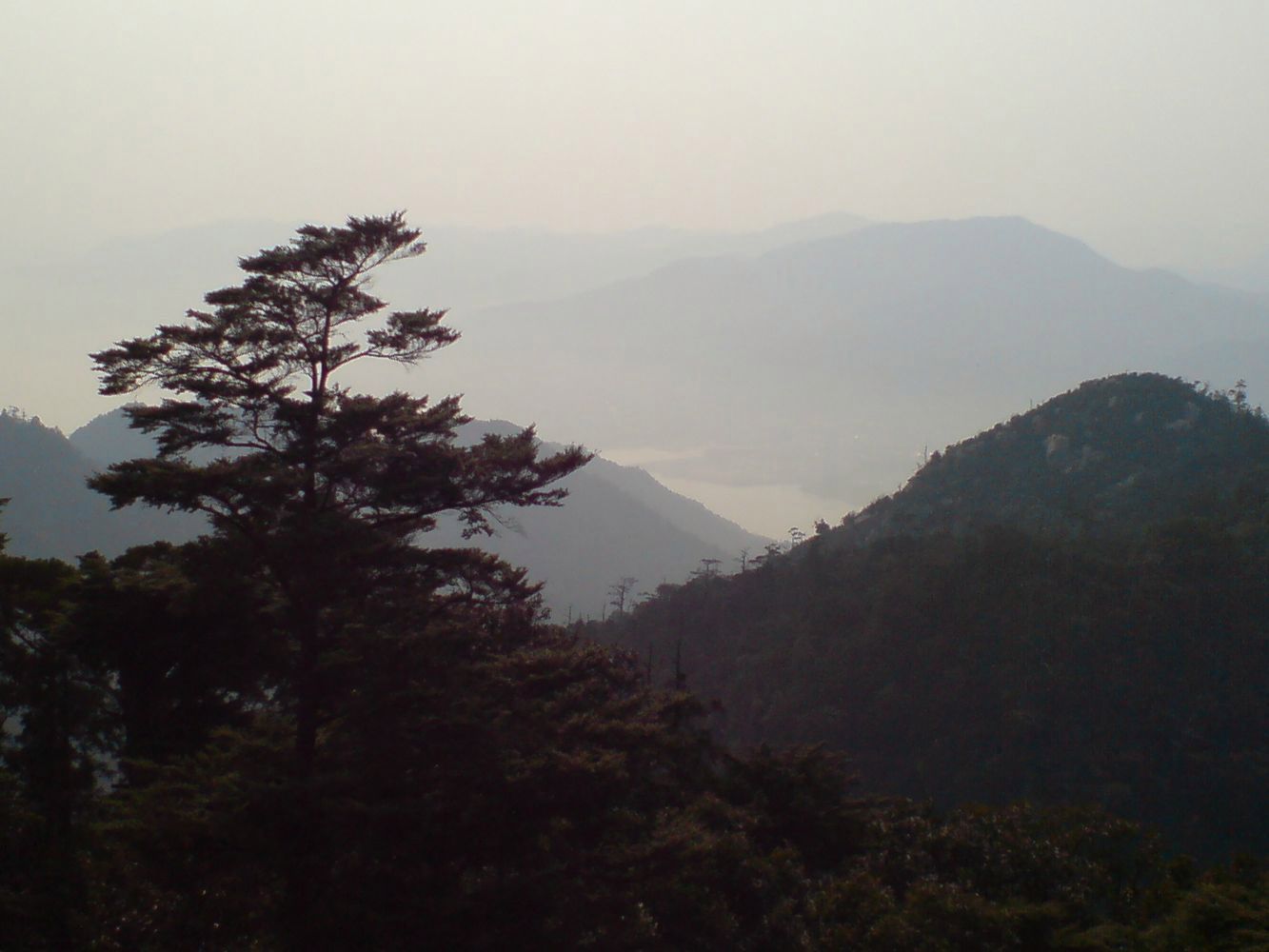 Xperia Z1 Compact vs stare sony ericssony - zaskakujące wyniki fotoporównania 29