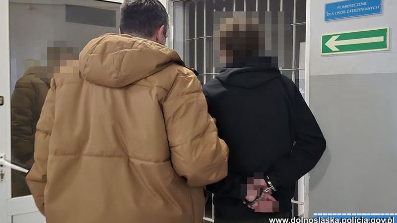 policja