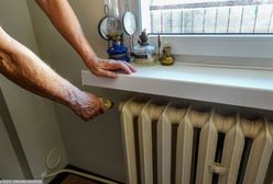 Media: ETS2 może podwyższyć ceny energii w Polsce