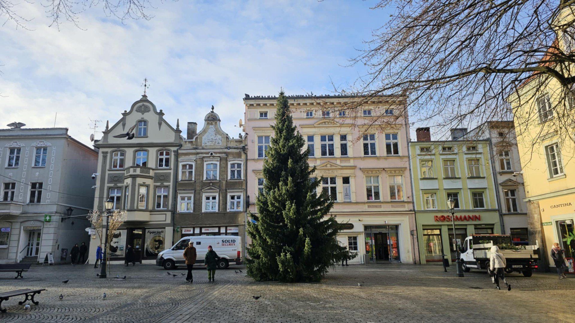 Choinka na deptaku w Zielonej Górze już jest!
