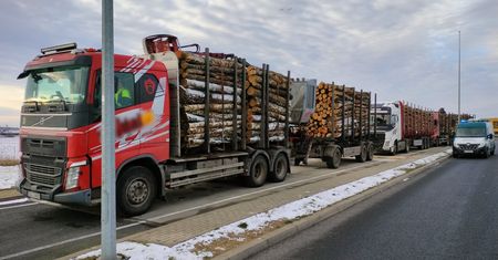 Sprawdzali przewóz drewna. Odkryli problemy z kierowcą