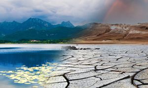 Odtworzyli klimat sprzed tysięcy lat. Pomogły liście