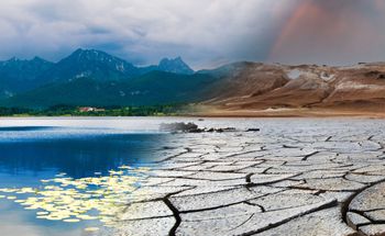 Odtworzyli klimat sprzed tysięcy lat. Pomogły liście