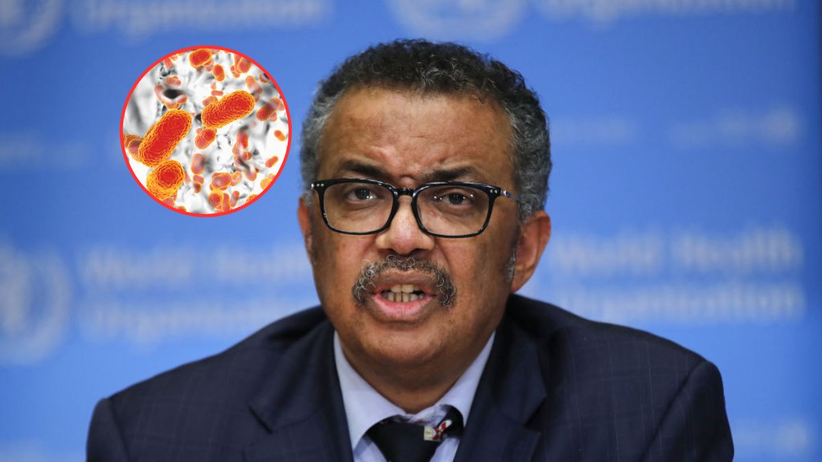 Acinetobacter baumannii to jeden z najgroźniejszych wg WHO patogenów na świecie