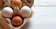 Salmonella na powierzchni jaj. Uważaj na tę partię!
