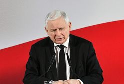 Kaczyński powiedział "dość". Nie kryją swojej radości