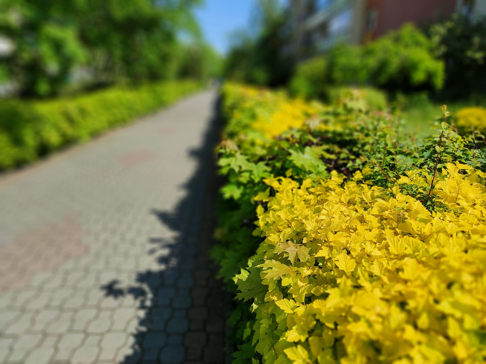 Redmi Note 9 Pro: pierwsze wrażenia. Czuć potencjał 20