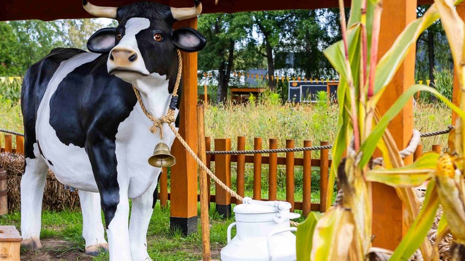 Za 700 zł można na sobie zafundować co najwyżej weekend pod gruszą, nie wczasy