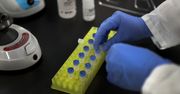 Skąd się wzięło tajemnicze DNA? Mamy go ponad 20 proc.