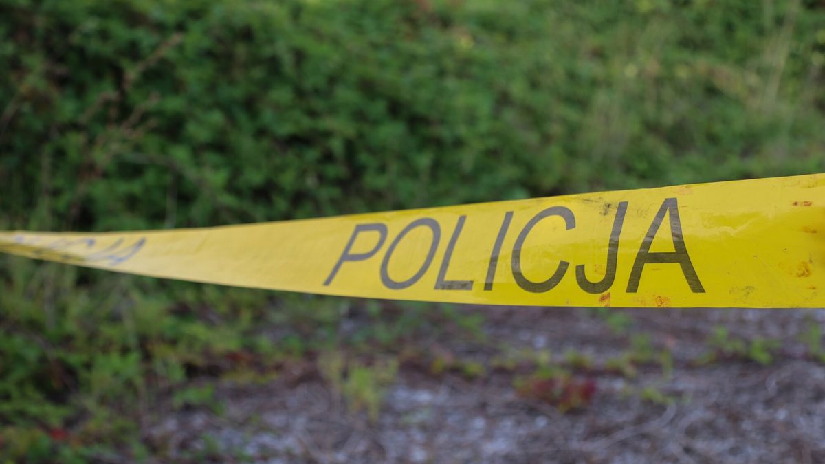 Reporter archiwum 2024 07
07.2024. Tasma poicyjna
fot. Mateusz Kotowicz/REPORTER
Mateusz Kotowicz/REPORTER