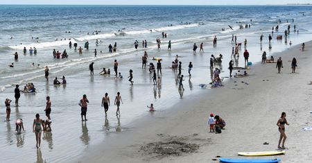 Bakteria znana nad Bałtykiem zbiera żniwo za oceanem