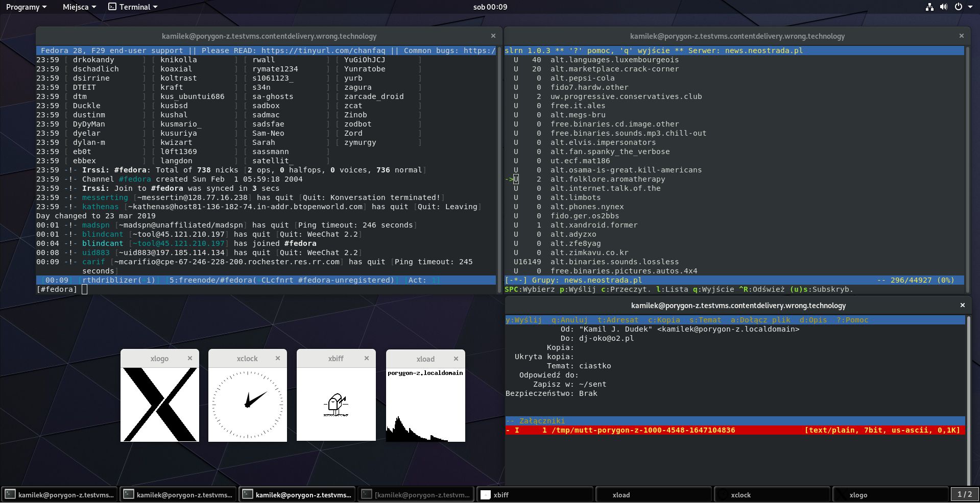 Klasyczne usługi internetowe. Oprogramowanie klienckie uruchomione na maszynie uniksowej